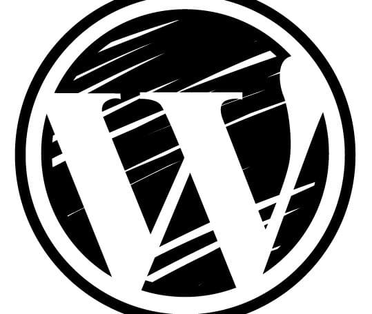 Afficher la catégorie d’un article sans le lien dans WordPress
